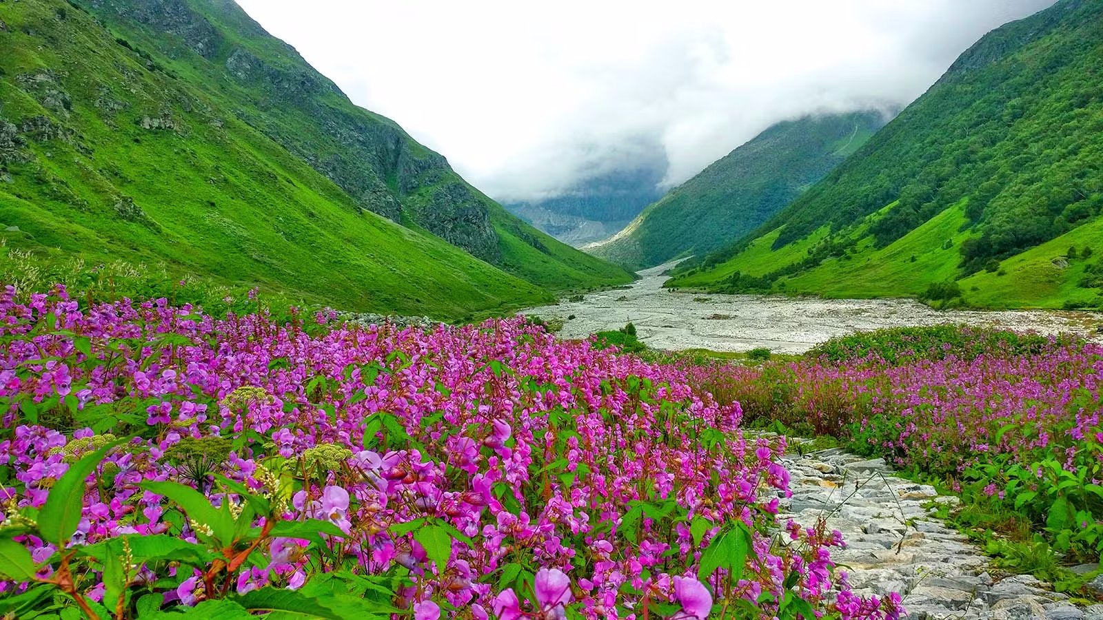 Valley of Flower